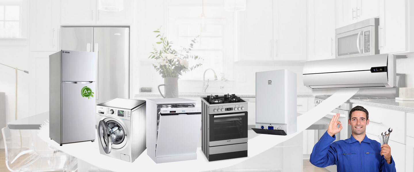 Ortaca Electrolux Servisi